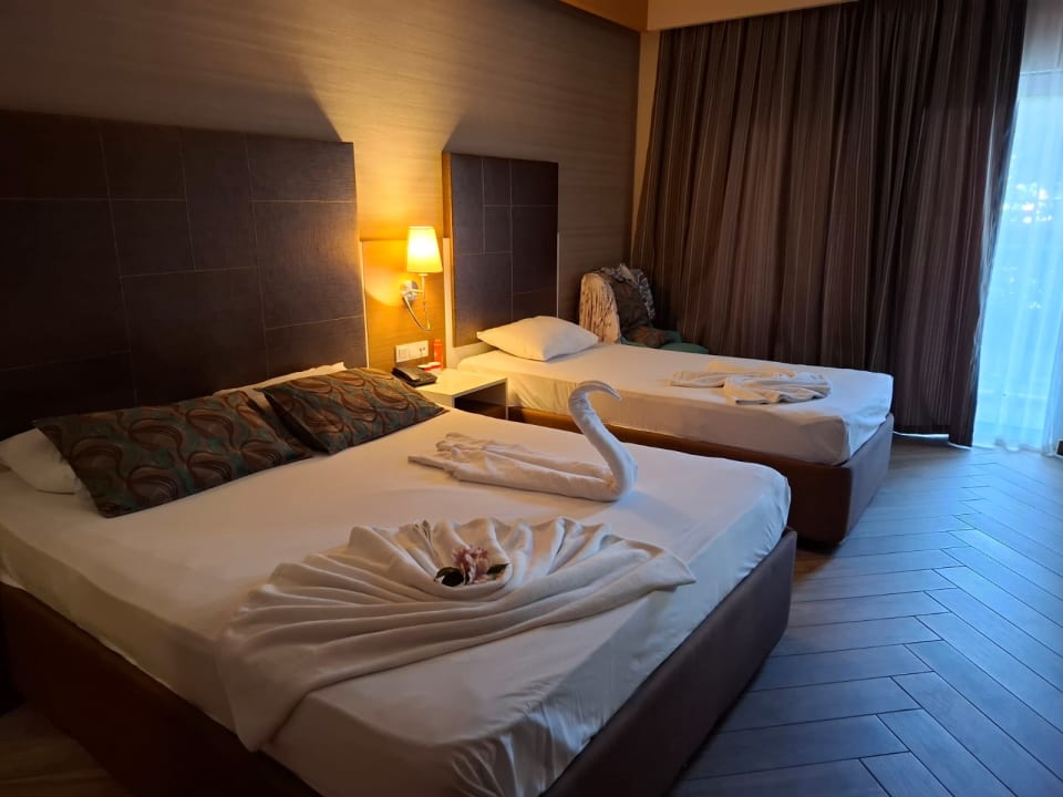 Zimmer Leodikya Kirman Premium