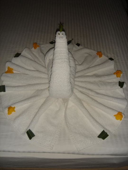 Schwan Steigenberger ALDAU Beach Hotel