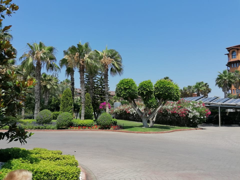Gartenanlage Hotel Terrace Beach Resort