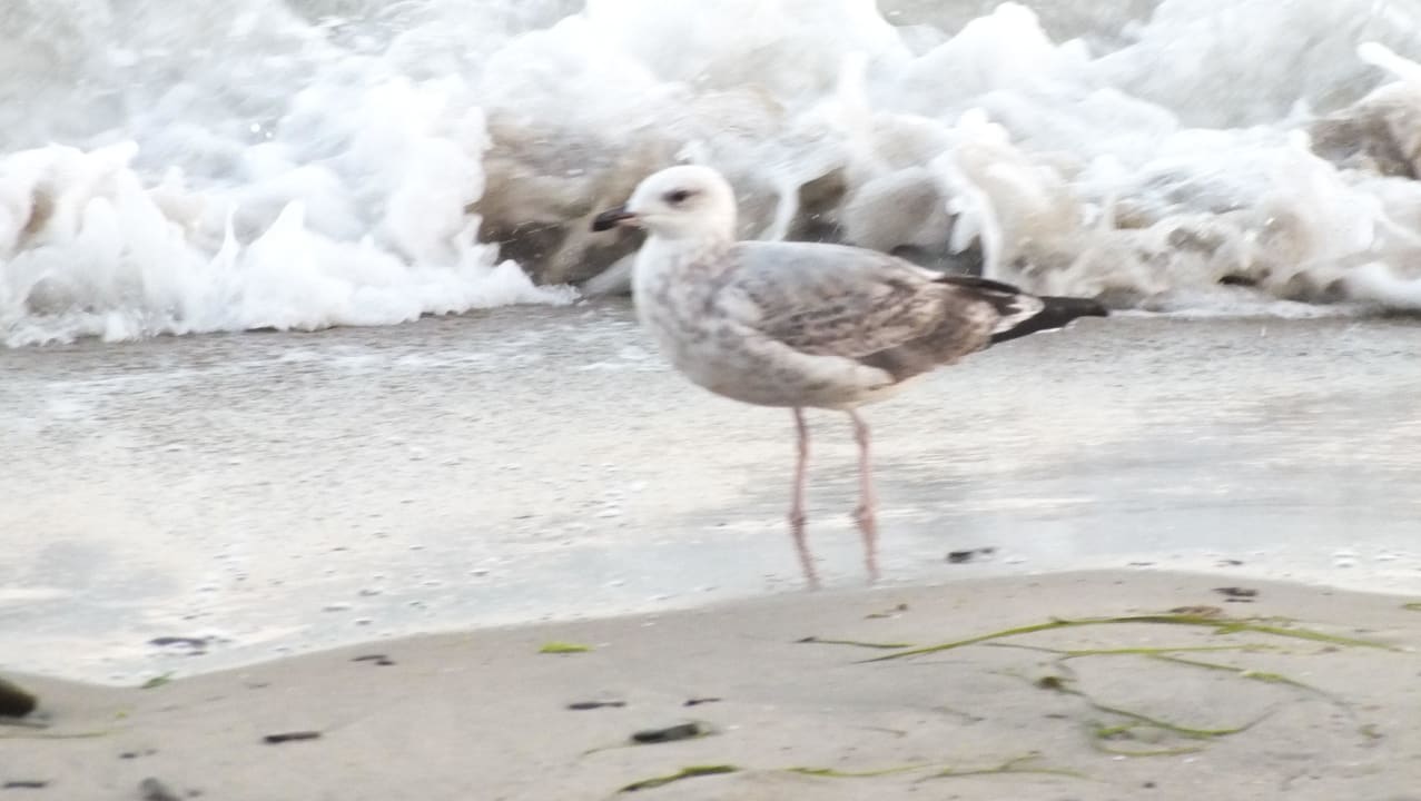 Atrium Hotel Atrium Beach