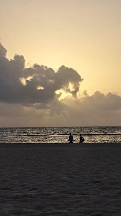 Pool Secrets Royal Beach Punta Cana - Adults only