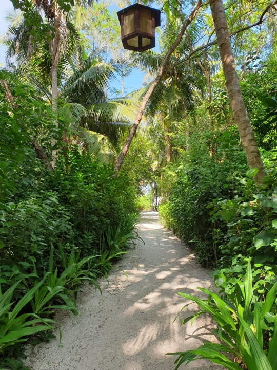 Gartenanlage NH Collection Maldives Reethi Resort