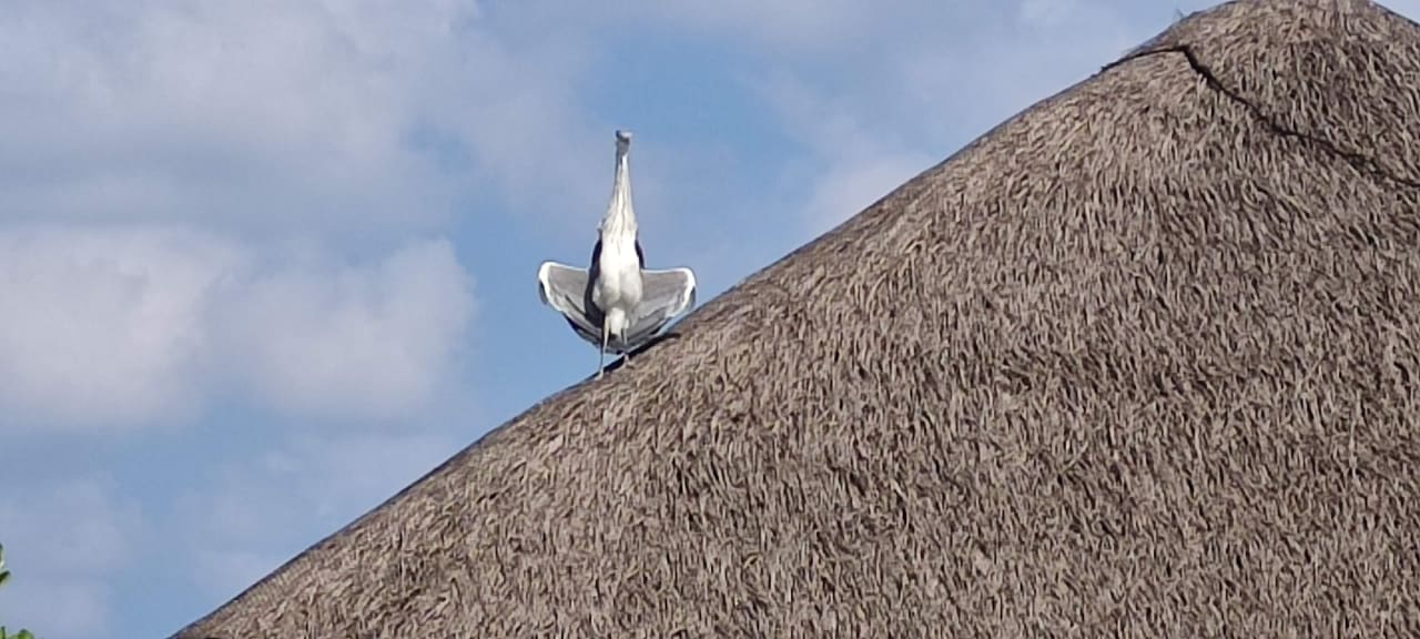 Sonstiges Kuramathi Maldives