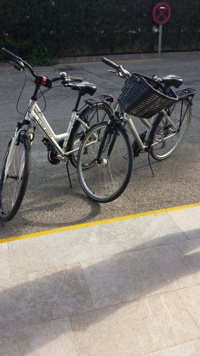 Sport & Freizeit Millor Sol