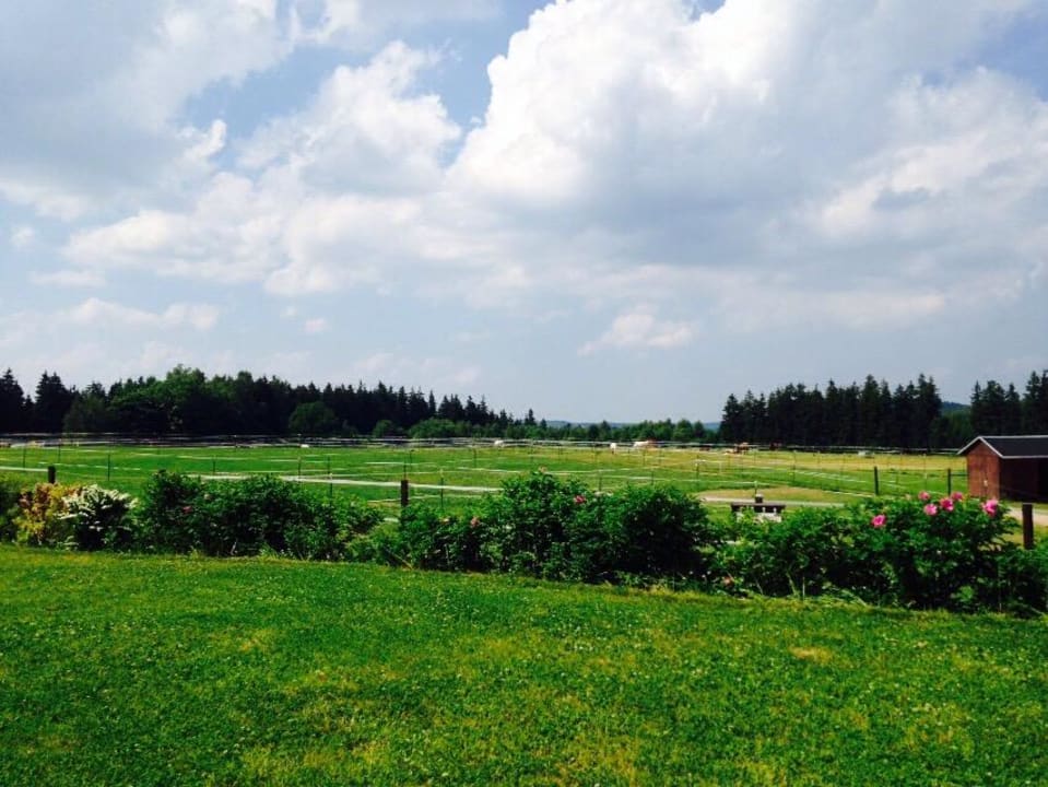 Ausblick vom Zimmer Reit- & Sporthotel Eibenstock