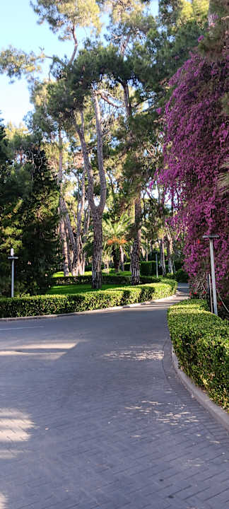 Gartenanlage Turquoise Hotel