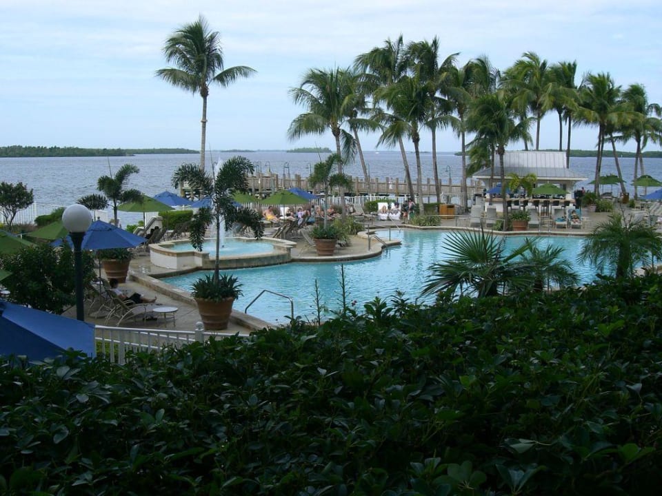 Poollandschaft Hotel Sanibel Harbour Marriott Resort & Spa