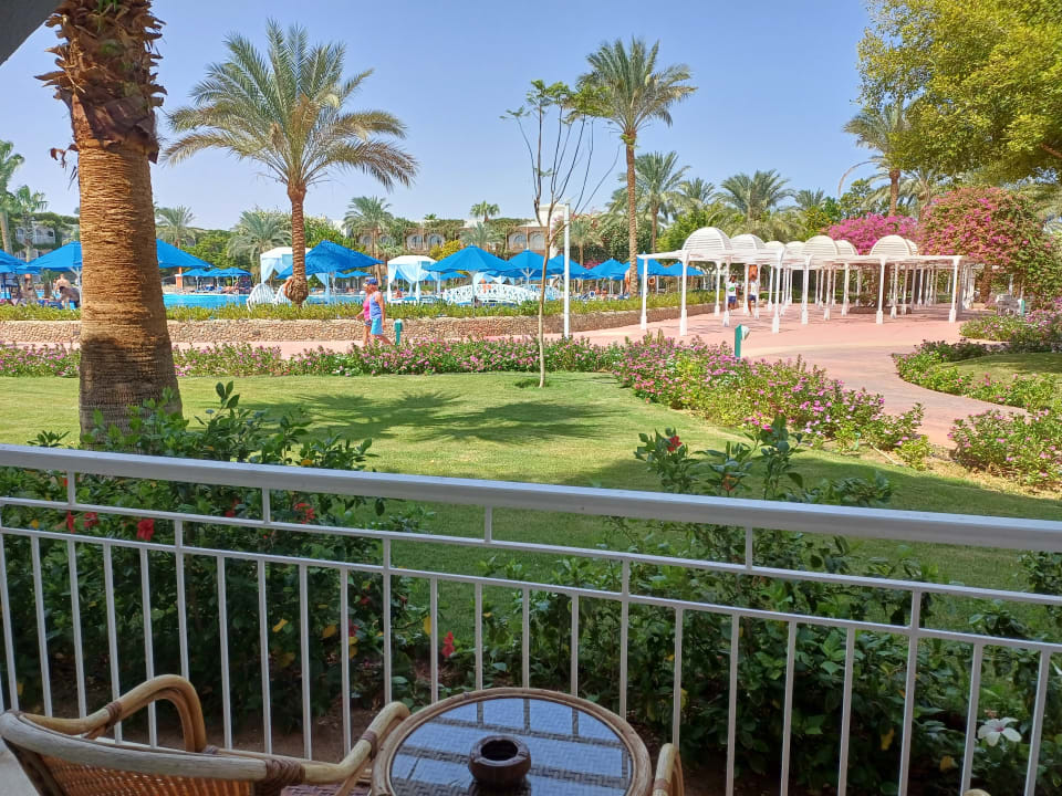 Ausblick Desert Rose