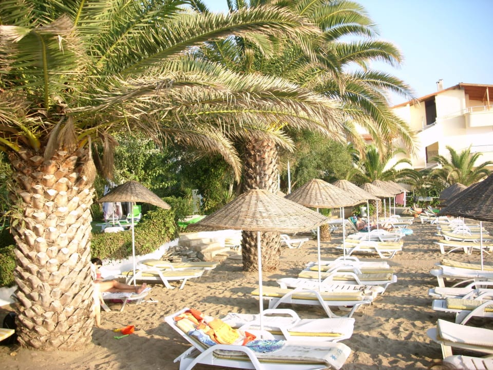 Liegen am Strand Dogan Paradise Beach