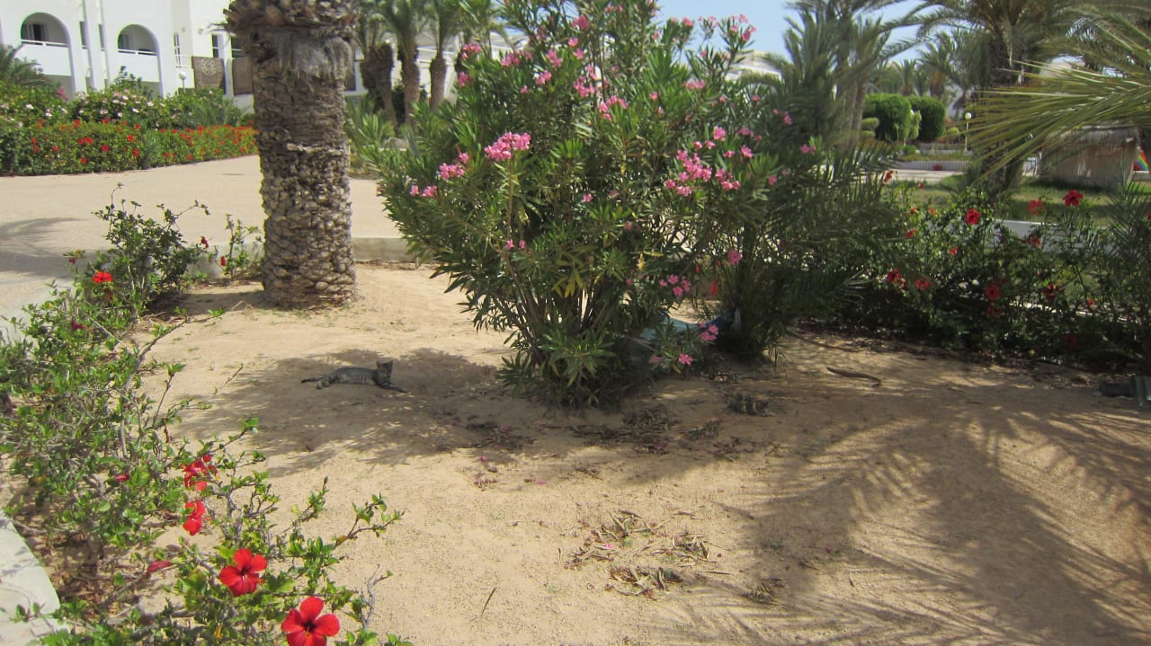 Anlage Hotel El Mouradi Djerba Menzel