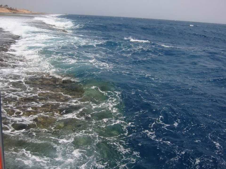 Hausriff Brandung Hotel Hauza Beach Resort