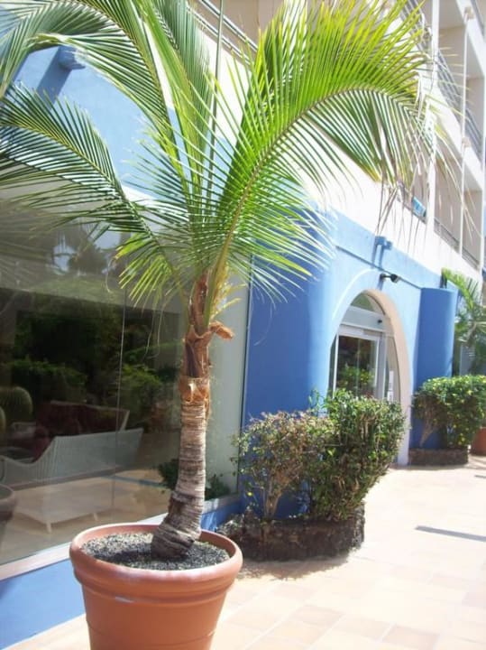 Hintereingang IFA Altamarena by Lopesan Hotels