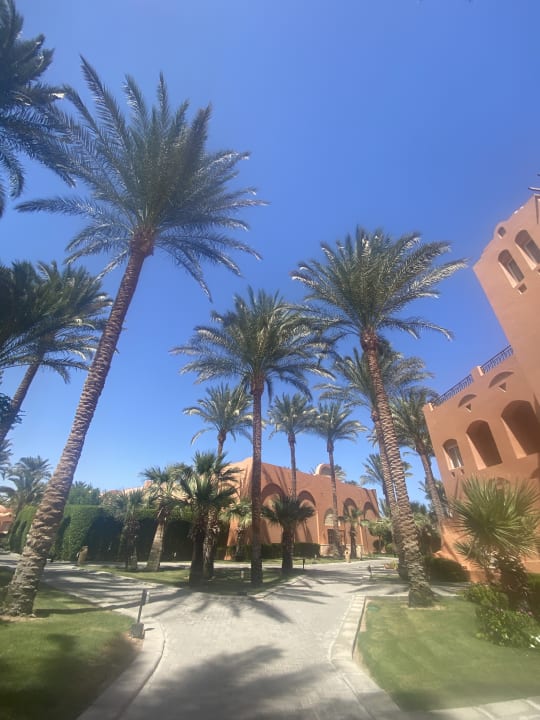 Gartenanlage Jaz Makadi Oasis Resort