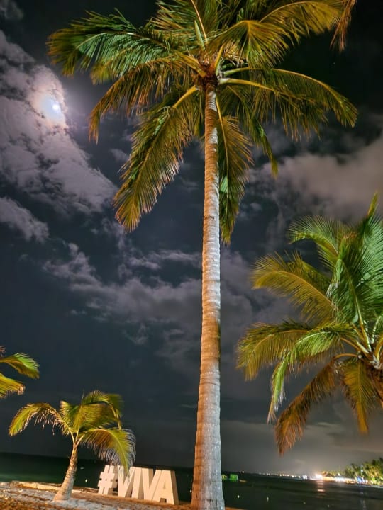 Ausblick Hotel Viva Dominicus Palace by Wyndham-All Inclusive Resort