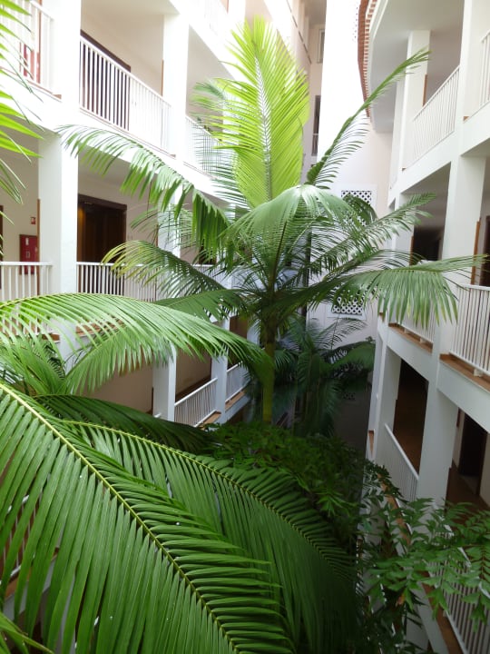 Innenhof zwischen den Zimmern Hotel Riu Madeira