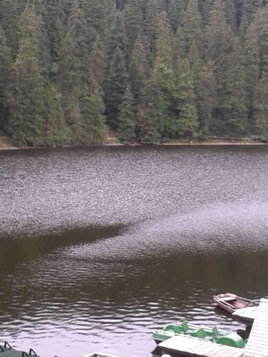 Blick vom Zimmer auf den Mummelsee Berghotel Mummelsee