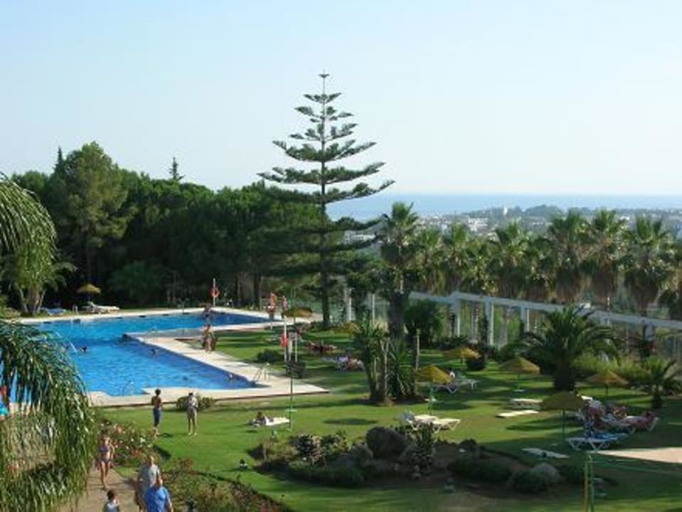 Widok basenu z pokoju Hotel TRH Paraiso