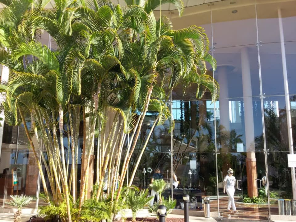 Wygląd zewnetrzny hotelu - wejście Landmar Playa La Arena