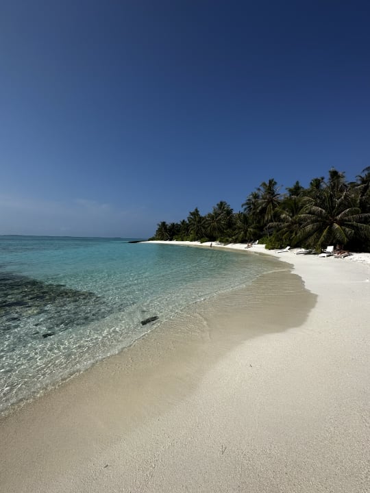 Strand Summer Island Maldives