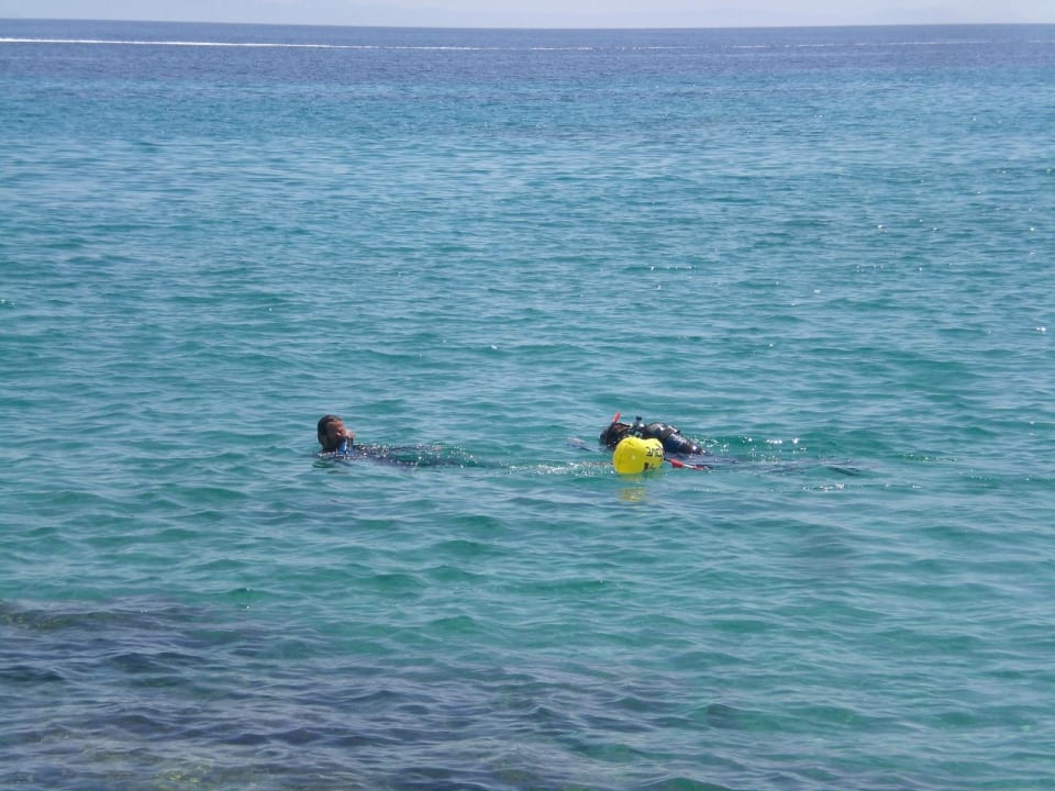 Tauchgang Hotel Athos Palace