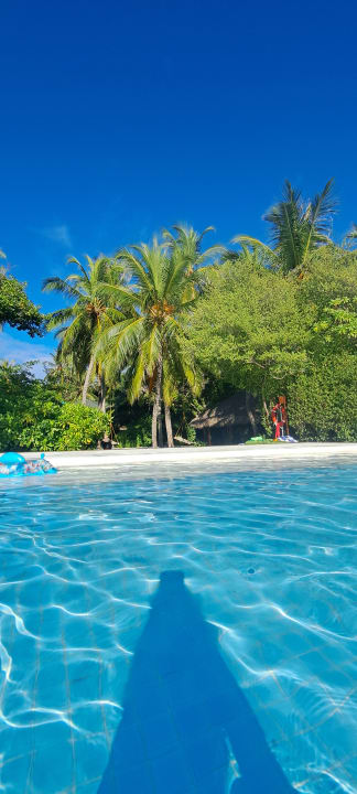 Pool Summer Island Maldives