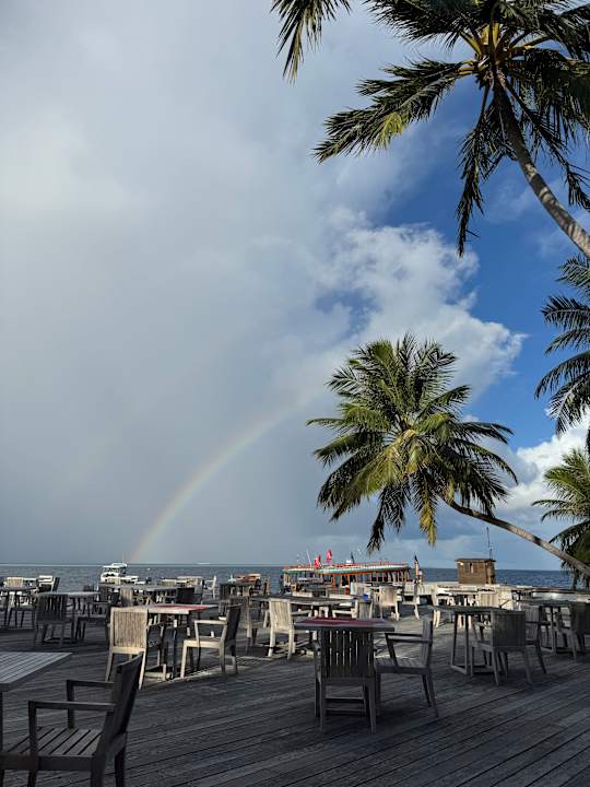 Gastro Vilamendhoo Island Resort & Spa