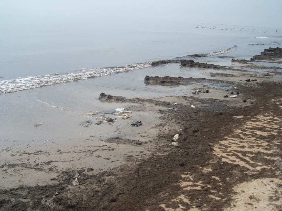 Deponie Dreck und Algen Medina Solaria & Thalasso