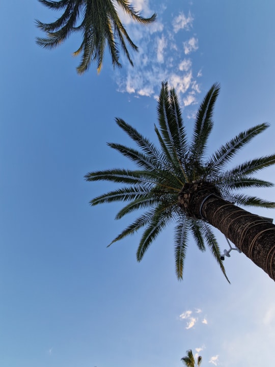 Außenansicht Marhaba Royal Salem