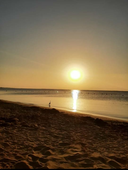 Strand Jaz Soma Beach