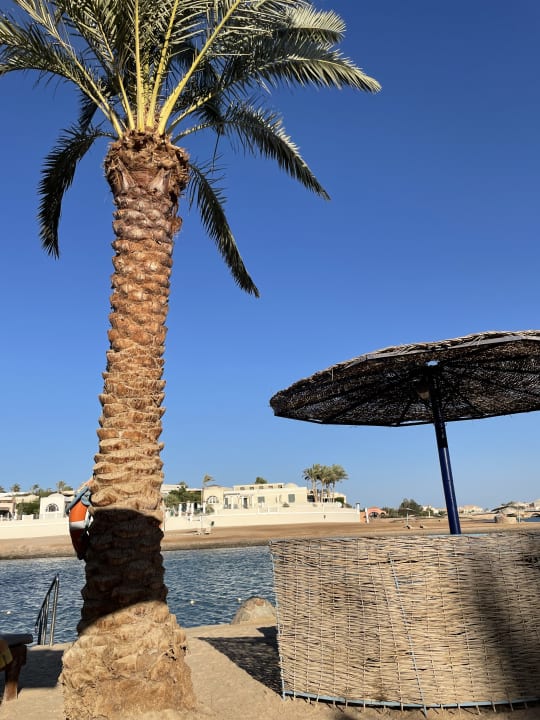 Strand Sultan Bey Hotel, El Gouna