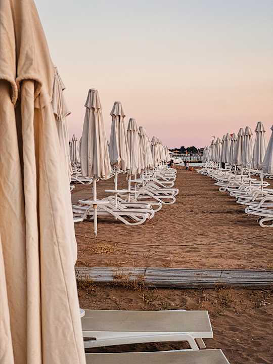 Strand PALOMA Perissia