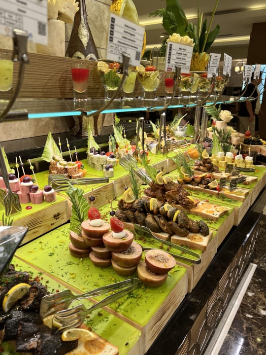 Gastro Papillon Ayscha