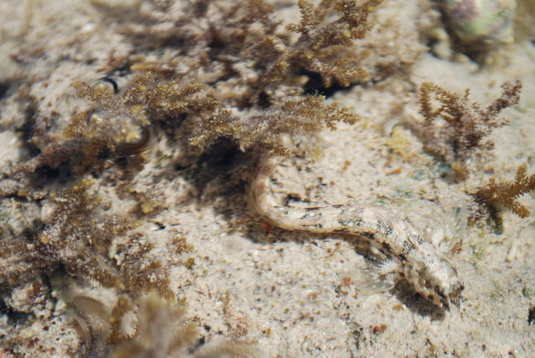 Odplyw Hotel Nubian Village