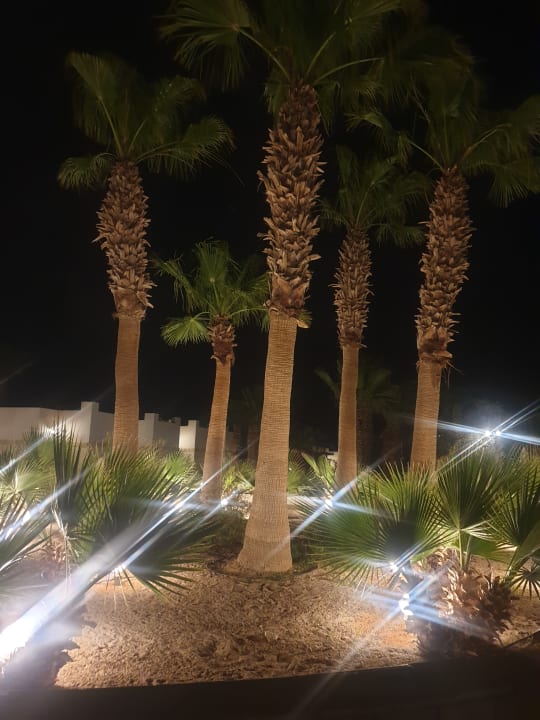 Außenansicht Coral Beach Hurghada