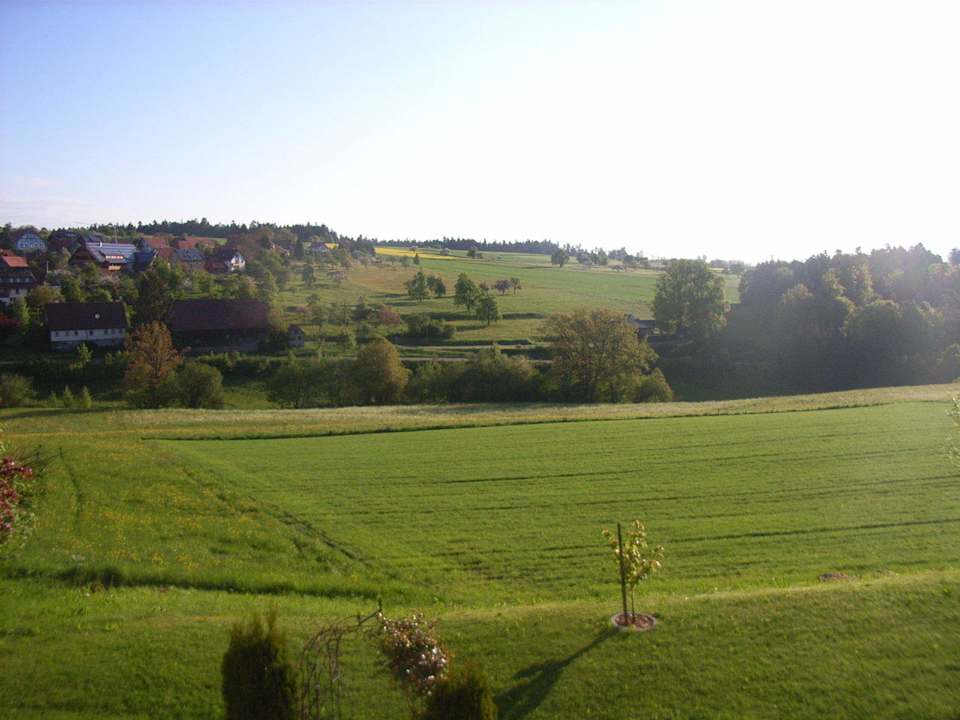Ausblick vom Balkon  Landhotel Talblick