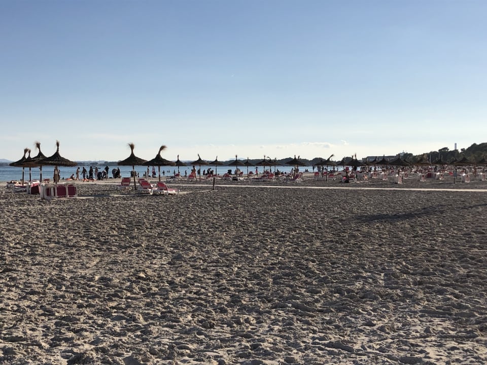 Strand Alcudia Garden Aparthotel