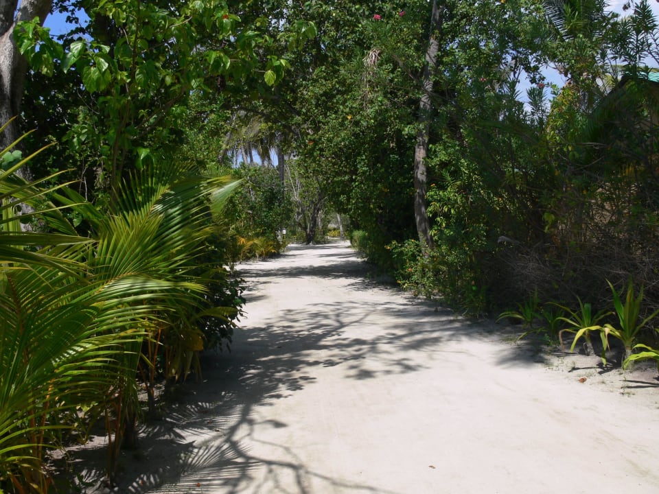 Weg im Ressort II Kuredu Island Resort & Spa