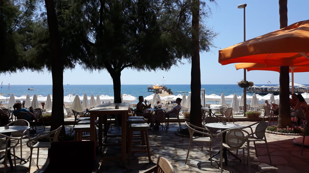 Gastro Arum Barut Collection