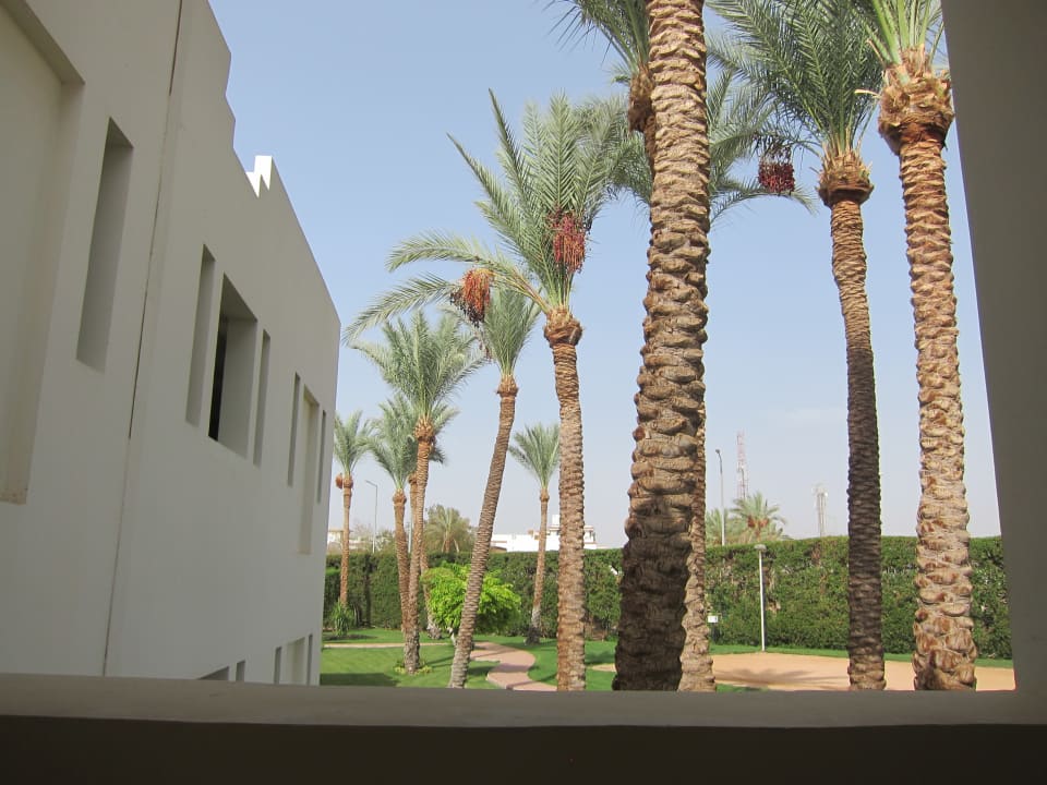 Gartenanlage Xperience St. George Homestay