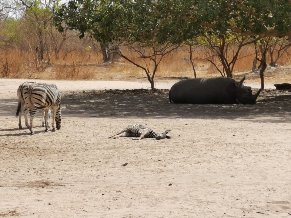 Sonstiges TUI BLUE Tamala