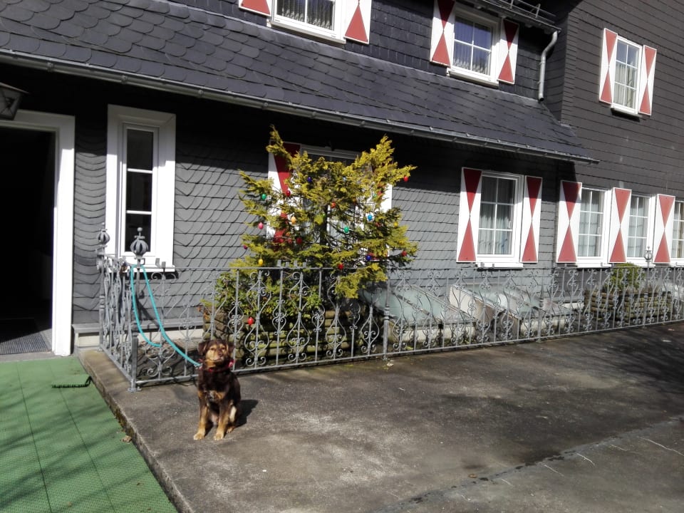 Oberer Seiteneingang vom Berghaus Püttmann The Conscious Farmer Bed and Breakfast