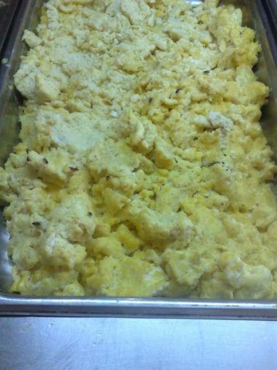 Mosche sul cibo Hotel Henry Village