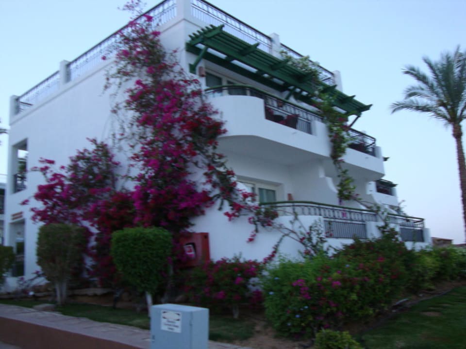 Бунгальчики Safir Sharm Waterfalls Resort