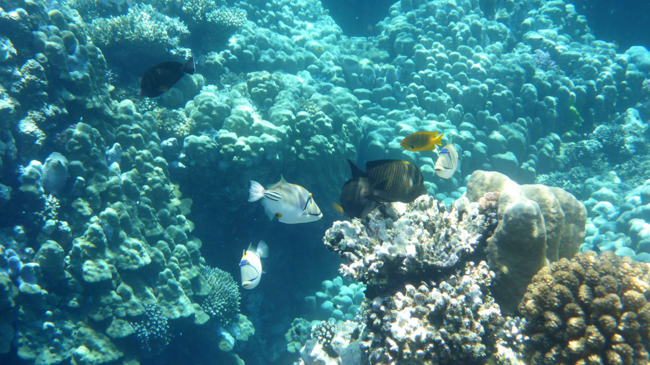 Sport & Freizeit Rohanou Beach Resort