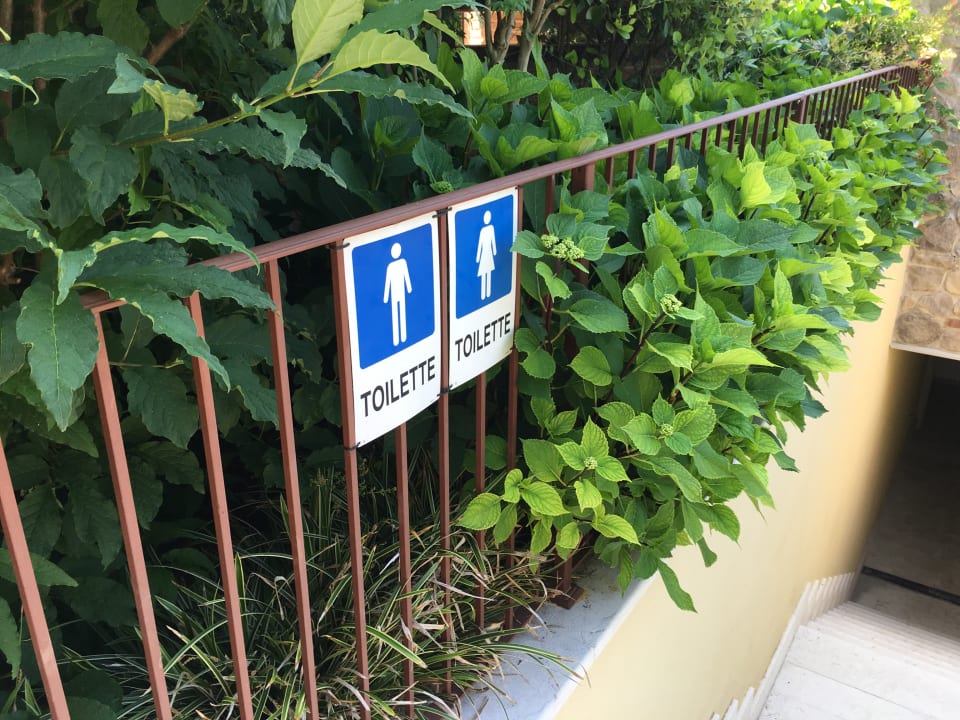 Sonstiges The Ziba Hotel & Spa