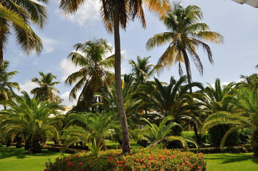 Schöne Gartenanlage Grand Palladium Select Bávaro Resort & Spa