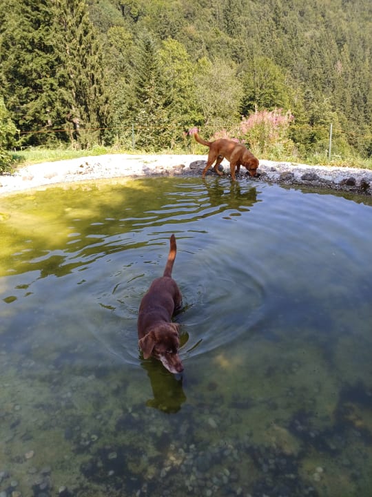 Pool Haus Blickner Alm