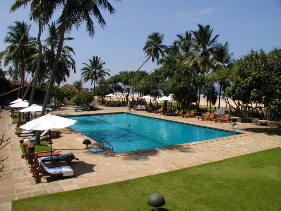 Blick auf den Pool Thaala Bentota