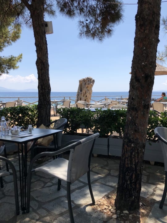 Gastro Blue Dolphin Resort Hotel