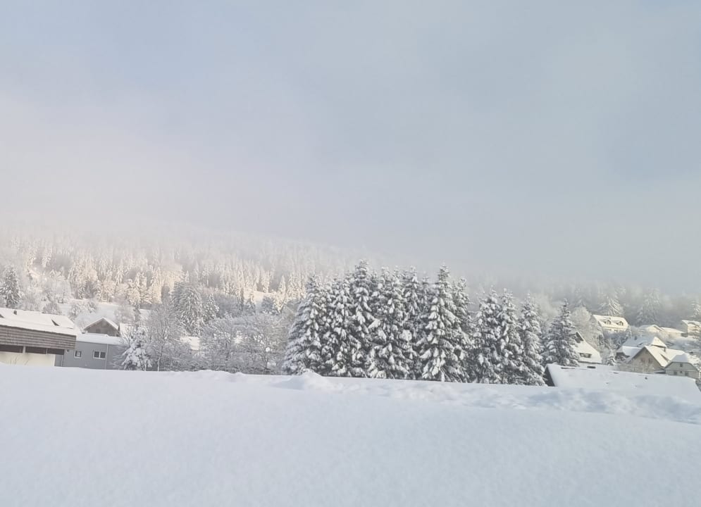 Ausblick Parkhotel Waldlust